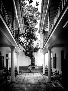 otografia em preto e branco de um pátio interno com colunas e varandas de dois andares, emoldurando uma grande árvore ao centro.